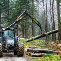 Logging Logging